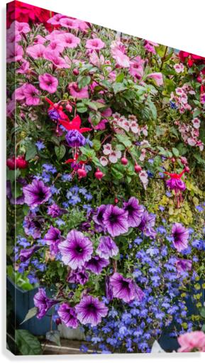 Spring Floral Basket Canvas Print