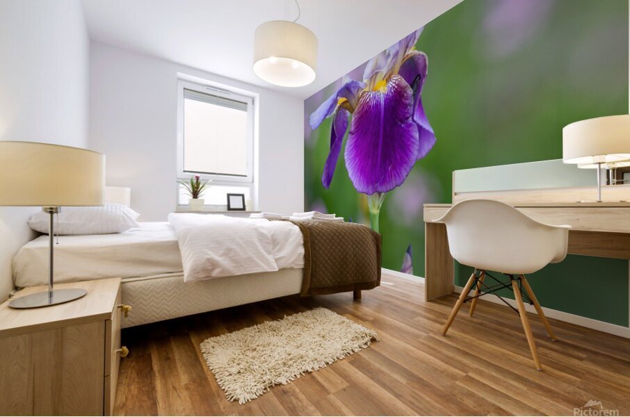 Iris 1 Mural print