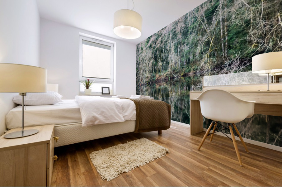 Forest Reflection Mural print
