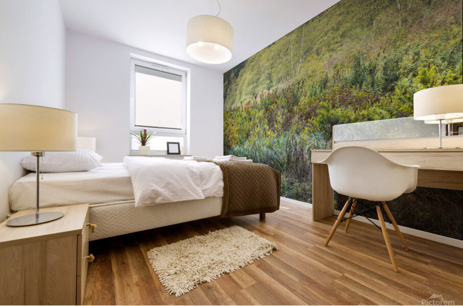 Green Opening Mural print