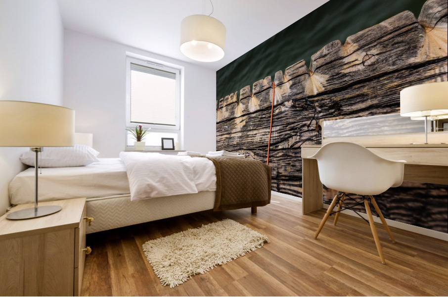 Old Fish Line Mural print