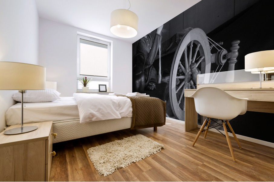 Spinning Wool Mural print