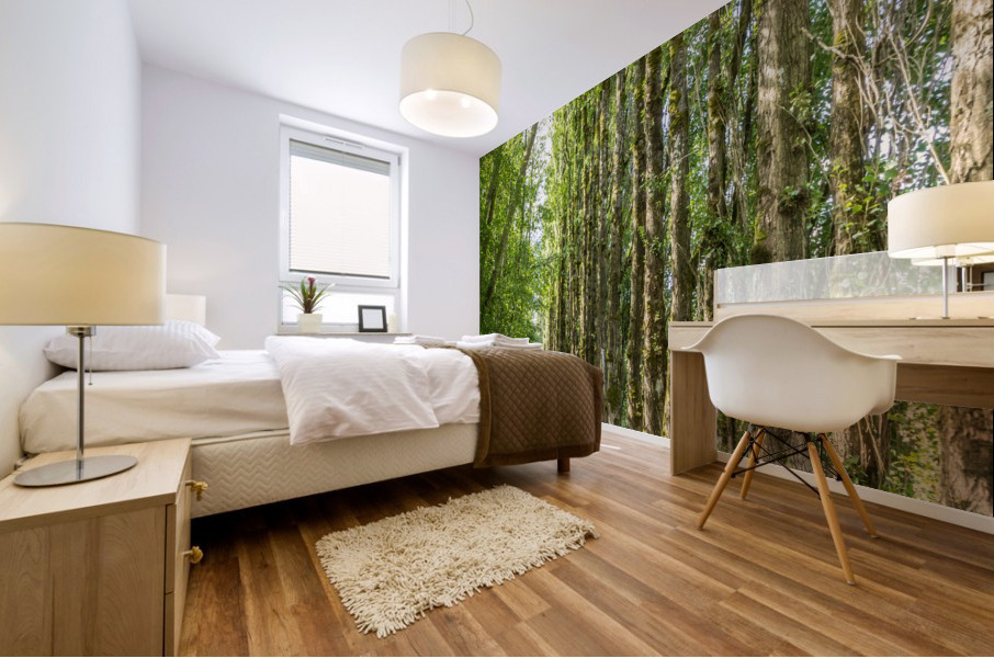 Green Pathway Mural print