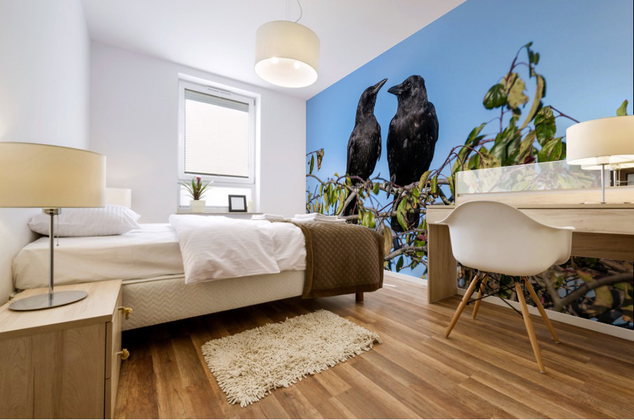 Two Crows in Love Mural print