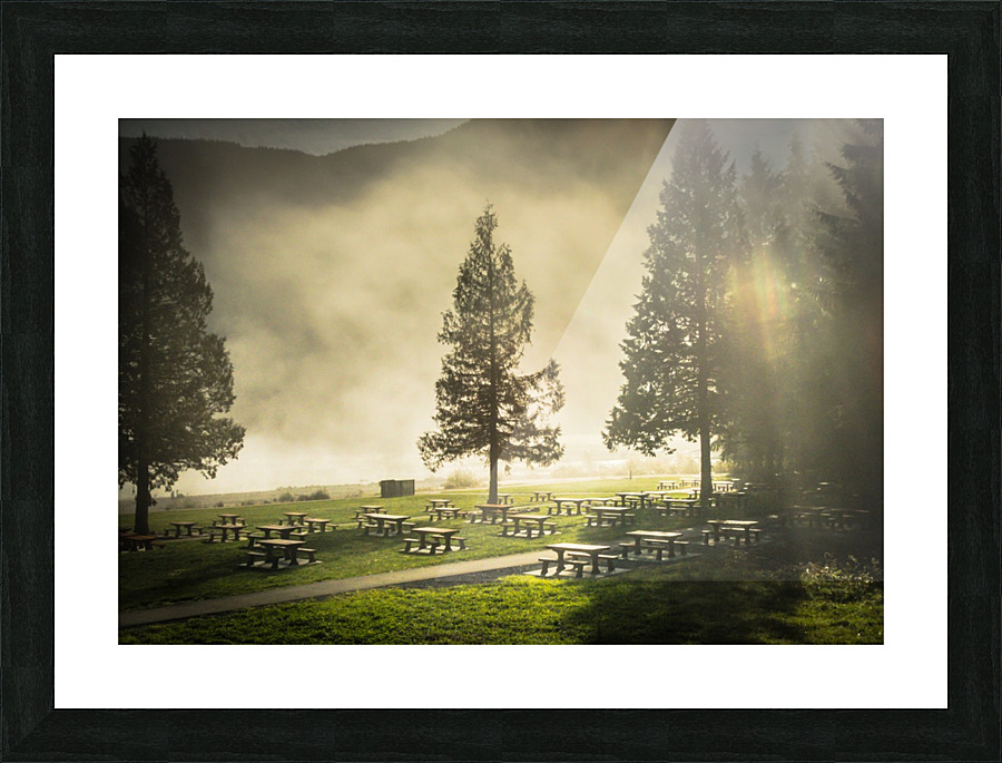 Summers Graveyard Picture Frame print