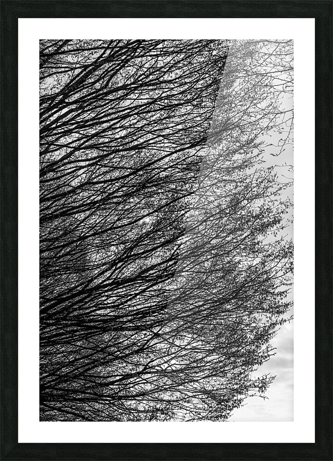 Branching Right Picture Frame print
