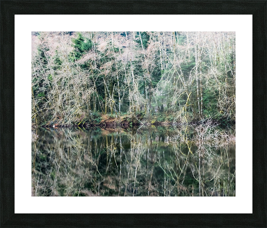Forest Reflection Picture Frame print