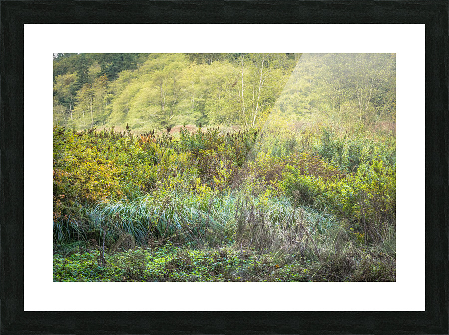 Green Opening Picture Frame print