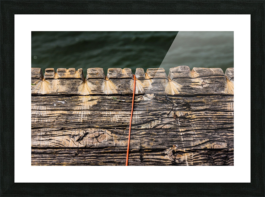 Old Fish Line Picture Frame print