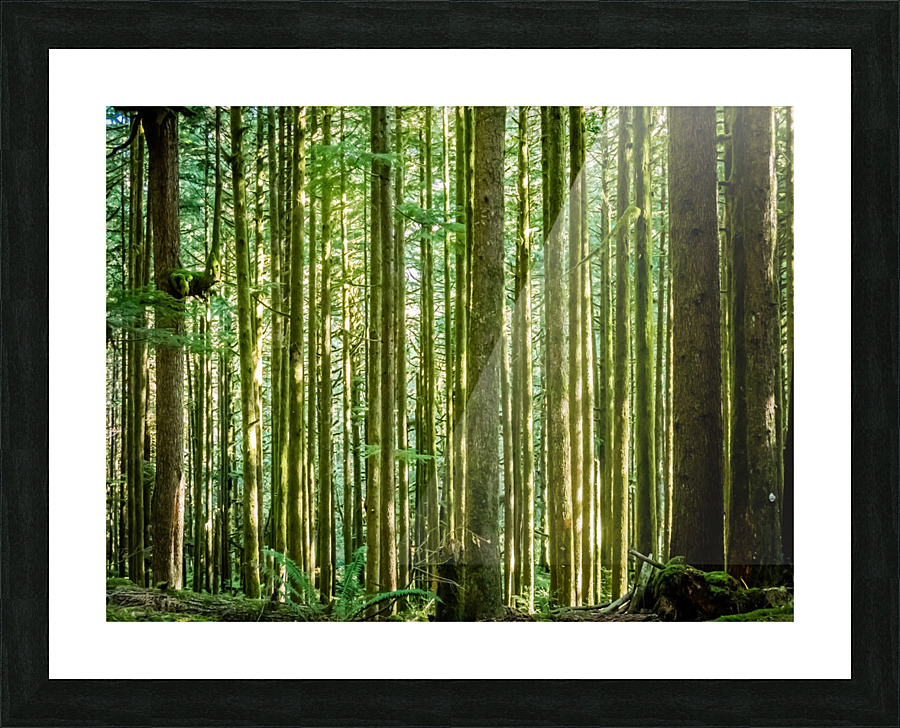Straight and True Picture Frame print