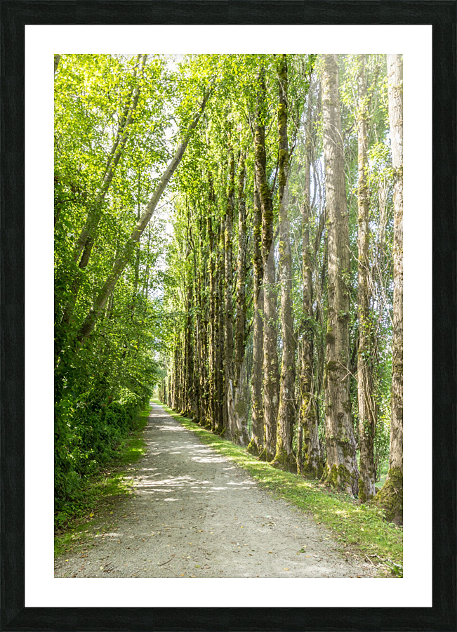 Green Pathway Picture Frame print