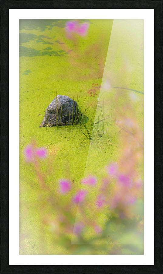 Green Meditation Picture Frame print