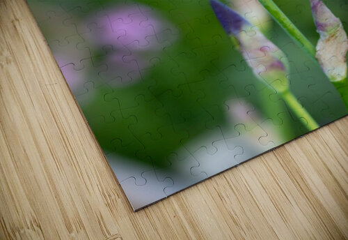 Iris 1 bj clayden photography puzzle
