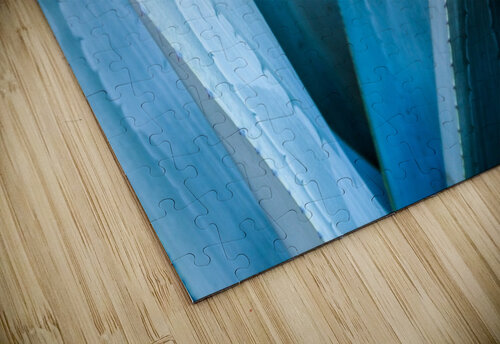 Blue Agave bj clayden photography puzzle