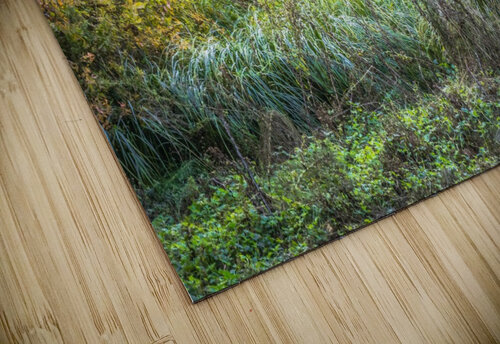 Green Opening bj clayden photography puzzle