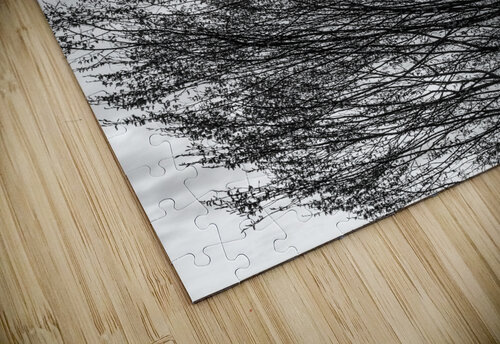 Branching Left bj clayden photography puzzle