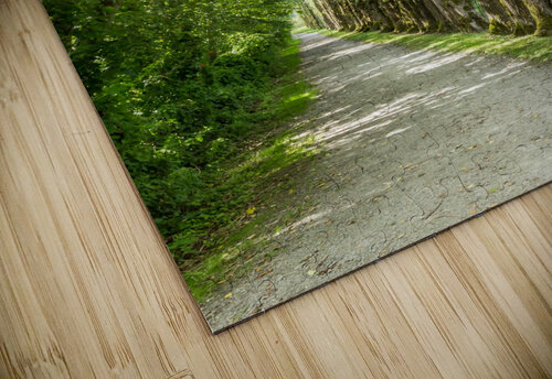 Green Pathway bj clayden photography puzzle
