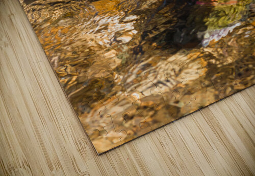 Spawning Sockeye Salmon bj clayden photography puzzle