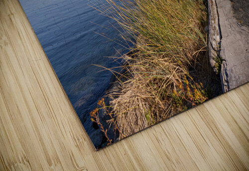 Fisgard Lighthouse  2 bj clayden photography puzzle