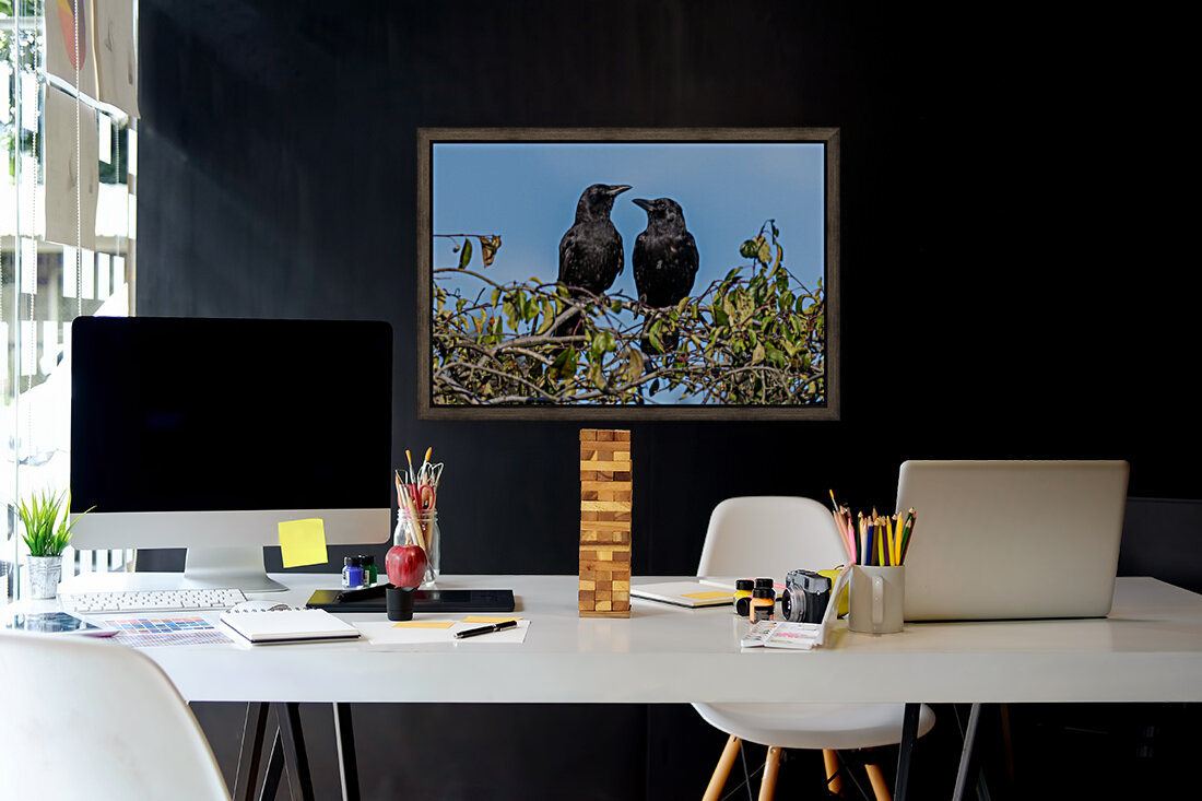 Two Crows in Love Reproduction