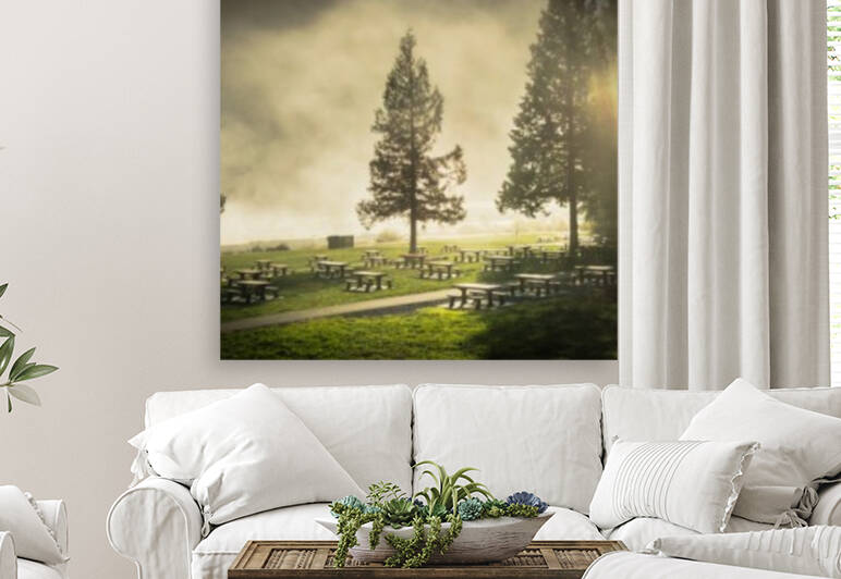 Summers Graveyard by bj clayden photography