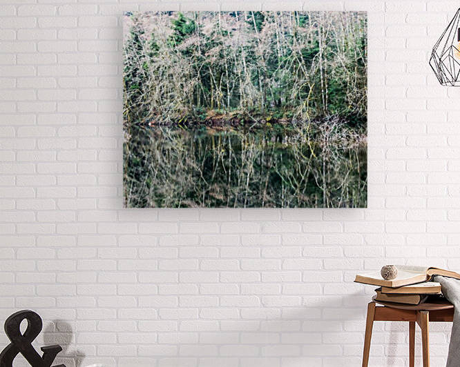 Forest Reflection by bj clayden photography