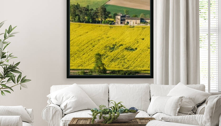 French Canola Field with Farmhouse by bj clayden photography