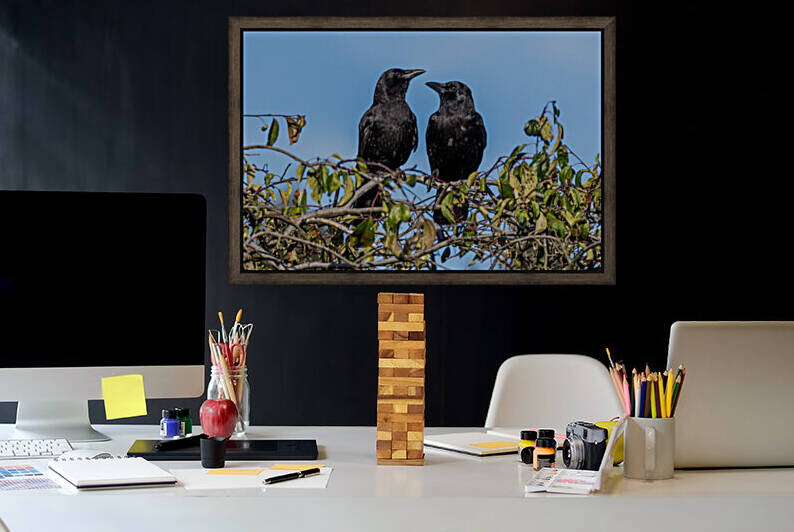 Two Crows in Love by bj clayden photography