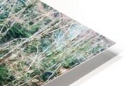 Forest Reflection HD Metal print