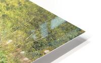 Green Opening HD Metal print