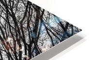 Branching Left HD Metal print