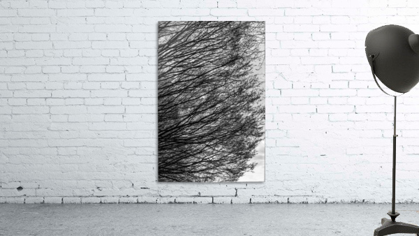 Branching Right Wall Preview