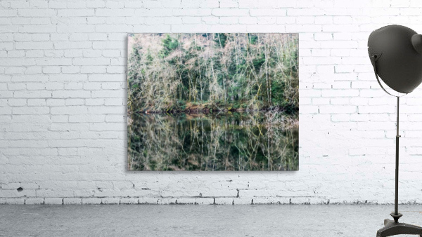Forest Reflection Wall Preview