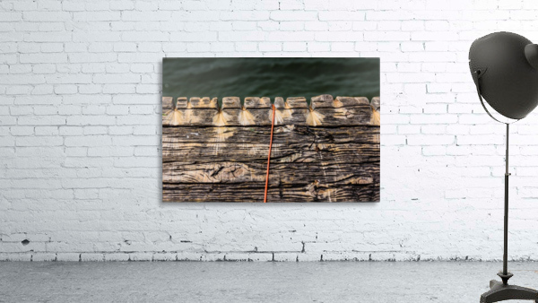Old Fish Line Wall Preview