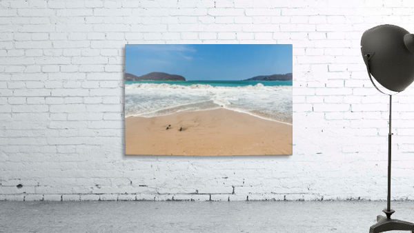 Tropical Waves Wall Preview