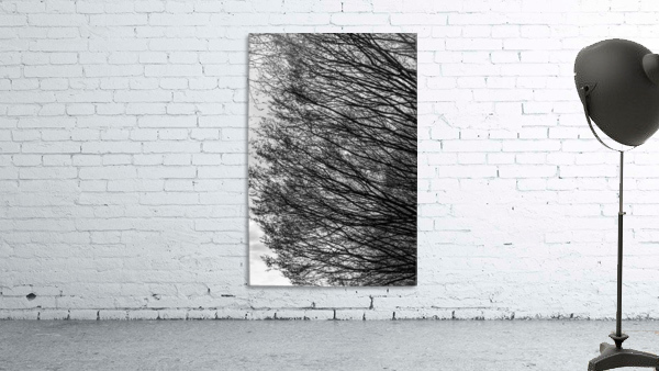 Branching Left Wall Preview