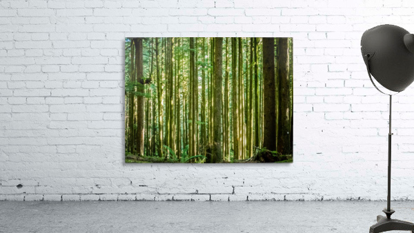 Straight and True Wall Preview