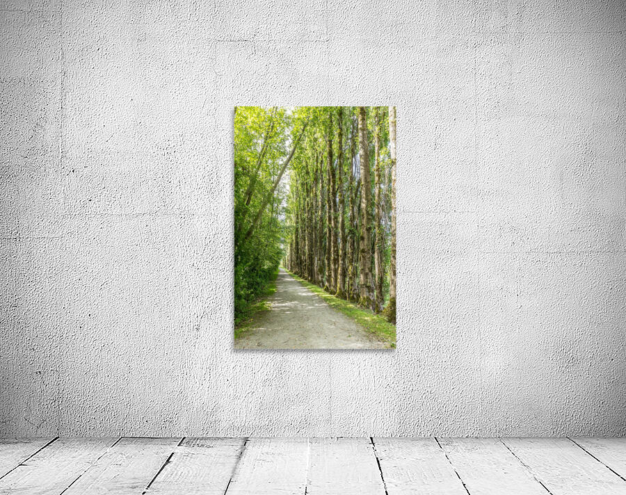 Green Pathway Wall Preview