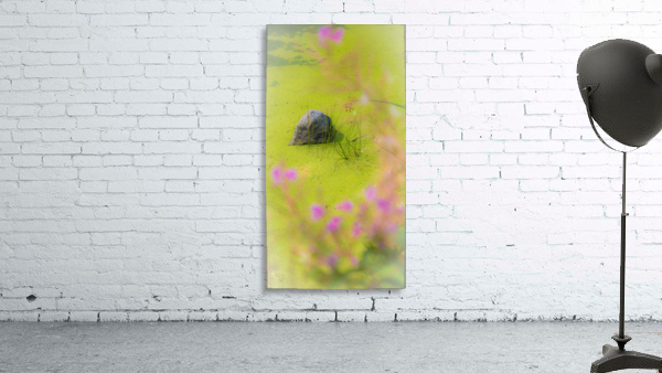 Green Meditation Wall Preview