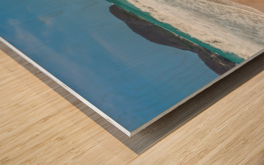 Tropical Waves Wood print
