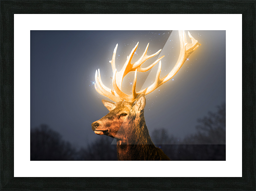 Deer light Picture Frame Printing