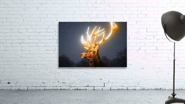 Deer light Wall Preview