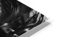 Tremble HD Metal print