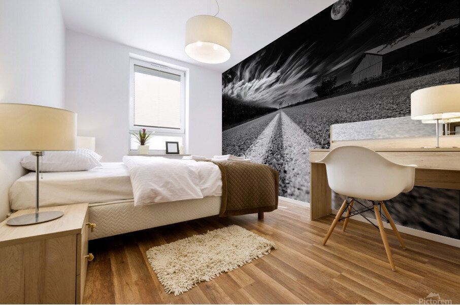 countryroad51 Mural print