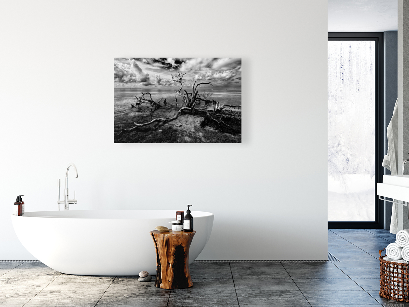 dead wood Reproduction