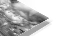 dead wood HD Metal print