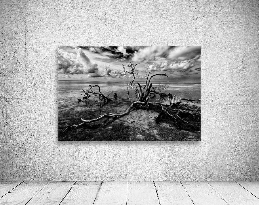 dead wood Wall Preview