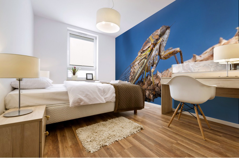 Cicada  Mural print