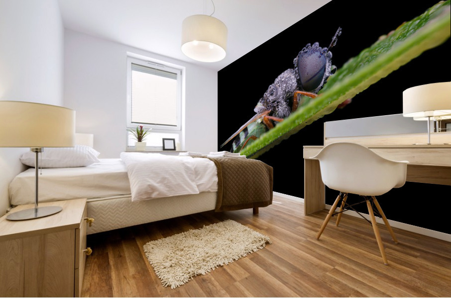 Soldier Fly Mural print