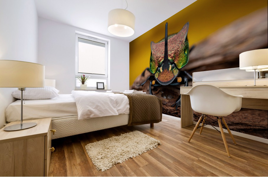 Rainbow scarab beetle Mural print